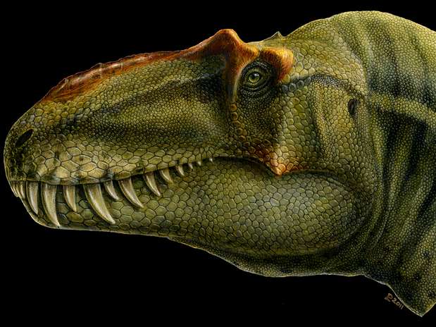 tiranossauro-descoberta-div2-lythronax.j