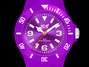 Foto: Cortesía ICE-WATCH
