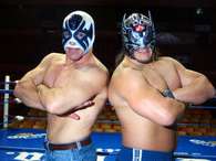 Lucha Libre en vivo por Terra  Foto: Reproducción