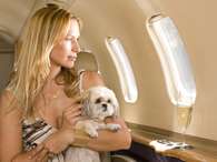  Foto: Thinkstock