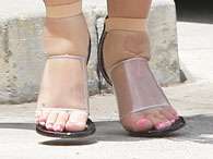 pies kim Foto: getty