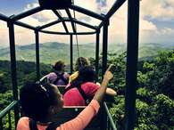 Expedición por la jungla costarricense ¡en góndola aérea! Foto: Rainforest Adventure Costa Rica