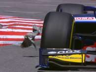 Felipe Nasr pasó rozando a un pájaro en Mónaco Foto: 