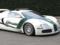 Policía Dubai Foto: Policía Dubai