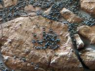 A Opportunity encontrou esse conjunto de "mirtilo" na cratera Eagle e logo analisou a composição com seus espectrômetros. Ricas do mineral hematita, essas esferas estão inseridas nas rochas marcianas como frutas em um bolo. Hipóteses sobre sua formação contribuíram para a descoberta da existência passada de água na superfície do Planeta Vermelho e indicam a existência de vida microbiana em algum momento Foto: AP