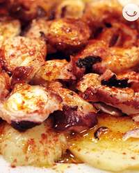 Pulpo. Foto: RECHUPETE
