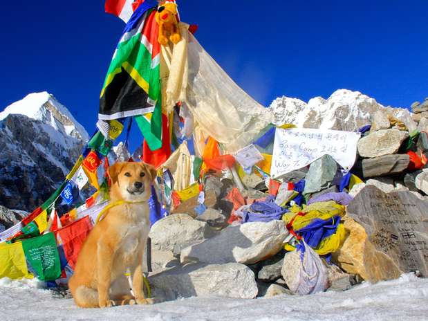 Rupee no acampamento base do Everest no Nepal Foto: AFP