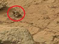 Sites sobre óvnis divulgam imagens feitas pela sonda Curiosity em Marte na qual afirmam ter avistado um iguana fossilizado no planeta vermelho Foto: Nasa/JPL-Caltech/MSSS  / Divulgação
