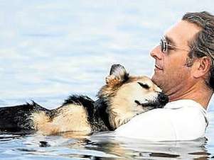 El perro Schoep junto a su amo john Unger Foto: Terra