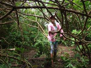 Albertina da Silva Moraes sobrevive plantando milho e mandioca no Capatará Foto: Fábio Pontes / BBCBrasil.com