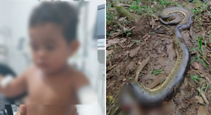 GO: Criança de 2 anos que brincava às margens de rio é atacada por sucuri