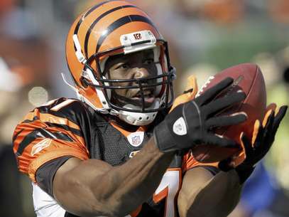 Terrel Owens last played in the NFL with the Cincinatti Bengals.  Foto: Ed Reinke, File / AP
