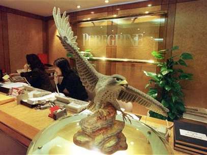 A peregrine falcon statue is displayed at the reception hall of Hong Kong's Peregrine Investments Holdings Ltd office as receptionists receive enquiry calls from investors January 12. HONGKONG PEREGRINE Foto: Reuters In English