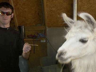 Accused Colorado gunman James Holmes gestures next to a llama in this photograph submitted with his application to graduate school at the University of Illinois, in this image released to Reuters on August 10, 2012. Foto: Handout / Reuters In English