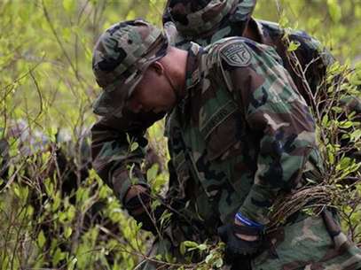 Imagen de archivo de unos soldados destruyendo plantaciones de hoja de coca en la región de Chapare, Bolivia, mar 29 2011. Bolivia redujo en el 2011 sus cultivos de coca por primera vez en al menos una década, según un informe de Naciones Unidas divulgado el lunes que destacó los esfuerzos de erradicación del país, independientemente de que Estados Unidos volviera a descertificarlo en su lucha antidrogas. Foto: David Mercado / Reuters en español