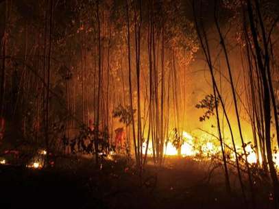 Historia De Los Incendios Forestales En Ecuador