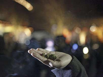 Marijuana is seen in the hand of a person after the law legalizing the recreational use of marijuana went into effect in Seattle, Washington December 6, 2012. Foto: Cliff Despeaux / Reuters