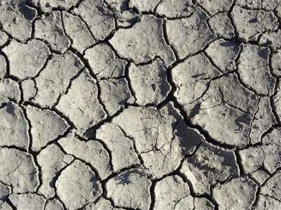 Cracks appear on the soil of a drought-hit field in Tropic, Utah August 19, 2012. Foto: Charles Platiau / Reuters