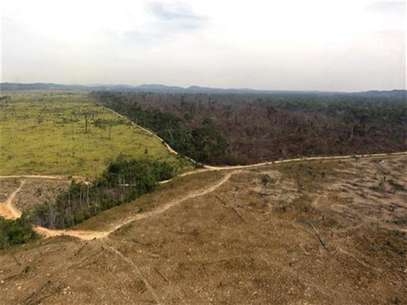 Vista áerea de una porción de selva tropical amazónica destruida por leñadores y granjeros, ago 17 2012. - Tras años de logros en la lucha contra la destrucción de la selva amazónica, Brasil estaría sufriendo un incremento de la deforestación por la entrada de agricultores, leñadores, mineros y constructores a un territorio previamente intacto, según datos compilados por el Gobierno y por investigadores independientes. Foto: Nelson Feitosa / Reuters