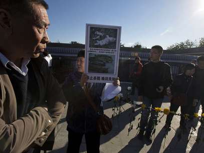 Ativistas dos direitos dos animais, um nmero pequeno na China, mas em franco crescimento, fizeram uma srie de resgates nos ltimos anos. Foto: AP