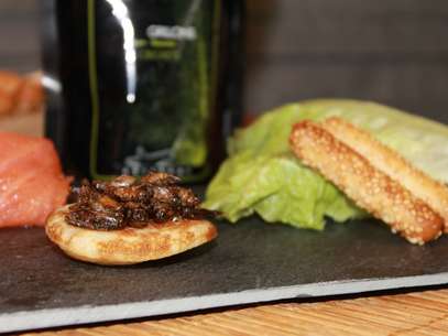 Grilos com gergelim é uma opção de aperitivo Foto: Crickeat / BBCBrasil.com Grilos com gergelim é uma opção de aperitivo Foto: Crickeat / BBCBrasil.com