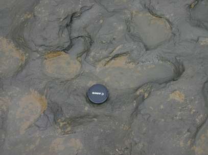 As pegadas, de mais de 800 mil anos, foram descobertas nas margens de uma praia em Happisburgh Foto: AP