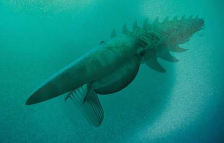 Monstro marinho levava na cabeça uma rede de espinhos que filtrava os alimentos Foto: Science / Reprodução