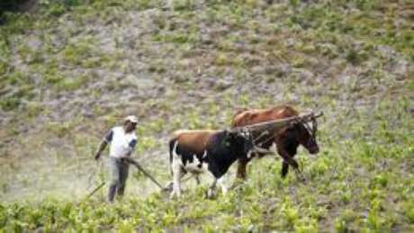 LaticÃ­nios, grÃ£os e carnes tÃªm uma forte presenÃ§a nos EUA, AustrÃ¡lia, Nova ZelÃ¢ndia, Argentina, Brasil e Europa Foto: Think / Reuters