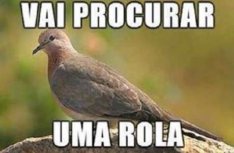  Foto: Twitter / Reprodução