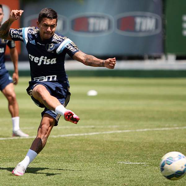 Palmeiras faz último treino do ano e viaja ao Rio com só quatro titulares