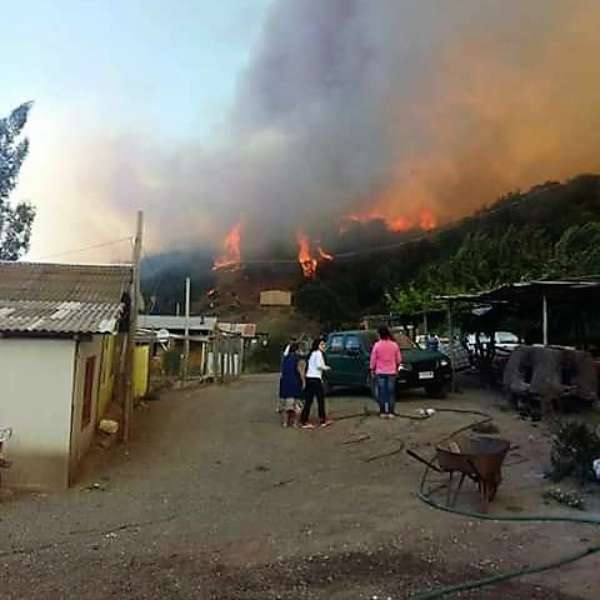 Evacuación preventiva en 2 poblados por incendio en Santo Domingo - Terra Chile