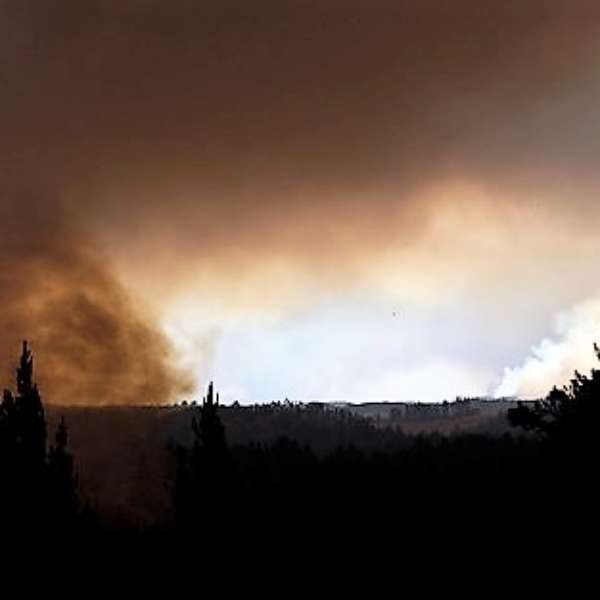 Se decreta Alerta Roja en Limache y Florida por incendios - Terra Chile