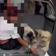 Polícia prende mulher que furtava lojas com cachorros de estimação; veja
