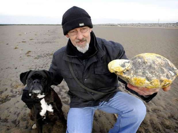 Ken Wilman estaba paseando a su perra Madge por una playa cuando ésta se detuvo ante una \