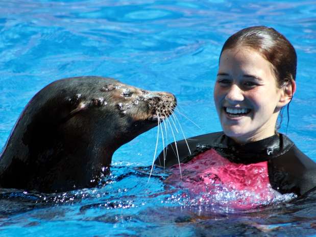 Para Marino Sur Florida Terra Argentina