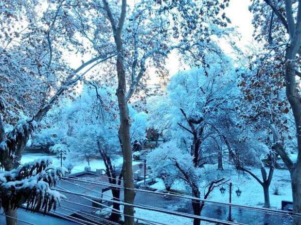 Image d'illustration pour Vague de froid et neige en Amérique du Sud