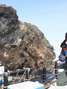 Científicos rusos descubren un mamut con su sangre preservada. Foto: AFP