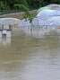 El desbordamiento del río Arga provoca inundaciones en Navarra.