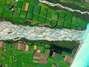 Foto: BBC Mundo / DigitalGlobe/www.digitalglobe.com
