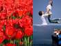 Foto: Thinkstock
