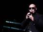 Pitbull Foto: Getty Images