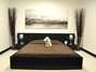 Foto: D Pet Hotels