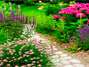 Siembra plantas y ayuda al planeta a respirar mejor Foto: Thinkstockphotos