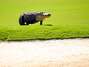 Foto: Getty y AP