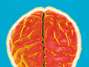 Un cerebro dormido no descansa Foto: Getty Images
