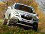 Mokka. Foto: MOTOR
