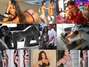 Foto: Especial