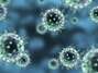 El virus de la gripe aviaria H7N9 ha causado la muerte de 36 personas en China.Foto: Thinksotck