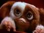 Gizmo. Foto: Es cine, mamá (blog)