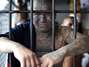 Mara salvatrucha Foto: Getty
